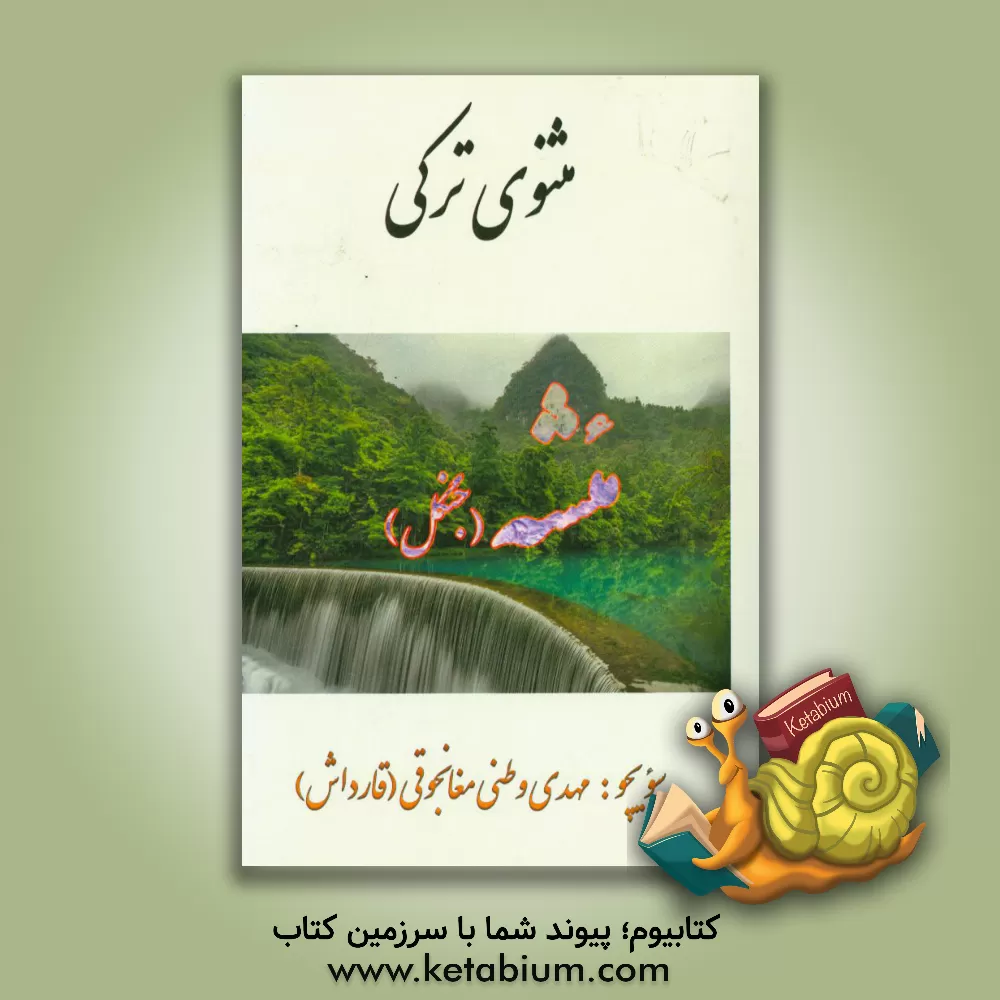 کتاب مئشه اثر مهدی وطنی‌مغانجوقی