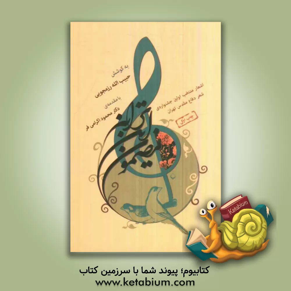 کتاب مضمون این ترانه: اشعار برگزیده نخستین جشنواره شعر دفاع مقدس تهران - 1389 اثر ایوب نصیری