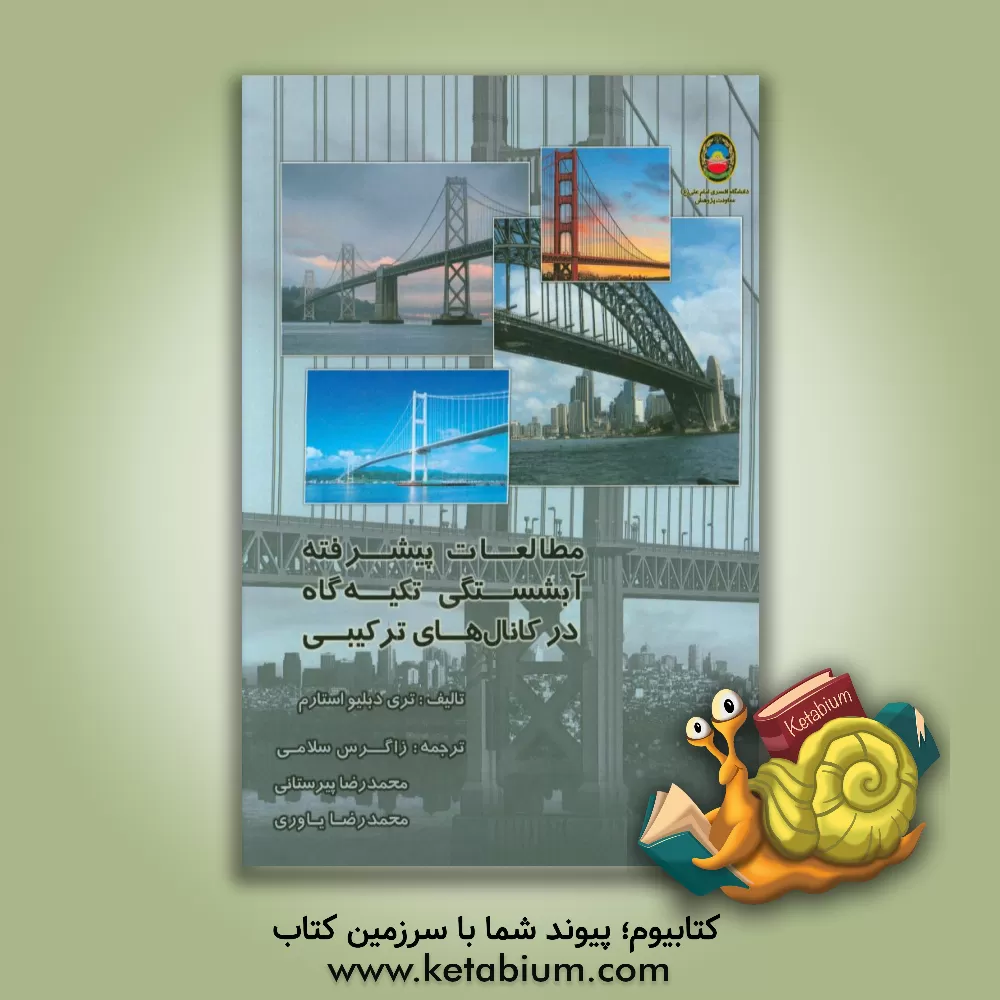 کتاب مطالعات پیشرفته آبشستگی: تکیه گاه در کانال های ترکیبی اثر تری دبیلیو استارم