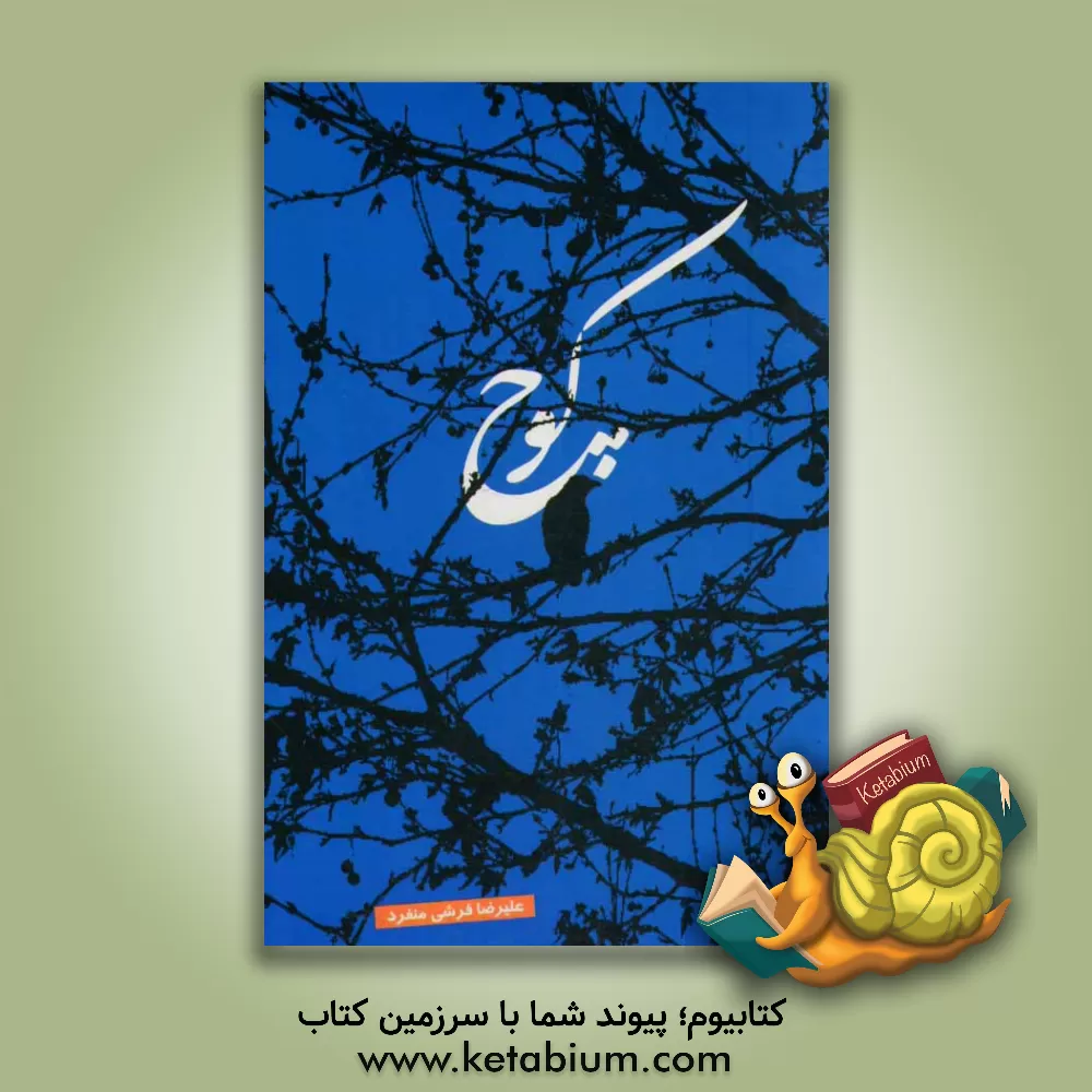 کتاب کوچ اثر علیرضا فرشی‌منفرد