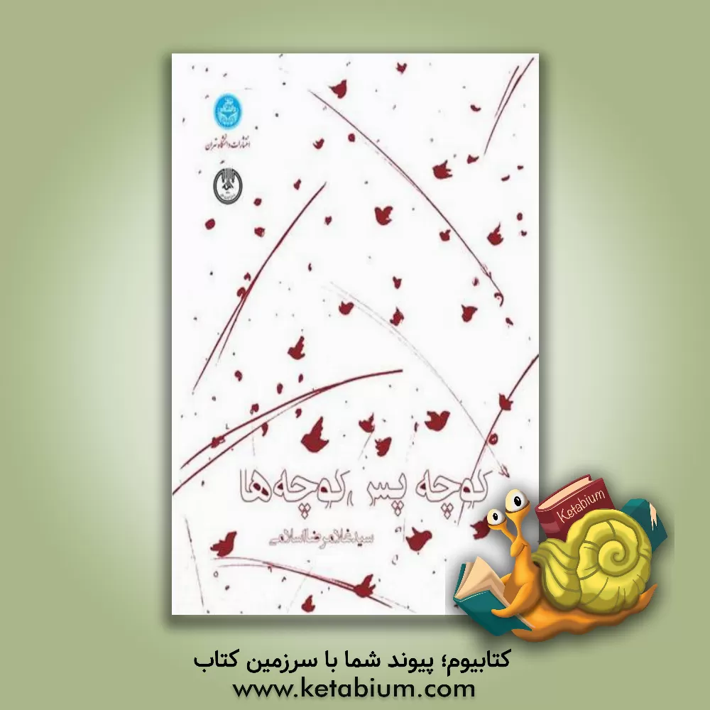 کتاب کوچه پس کوچه ها اثر سیدغلامرضا اسلامی