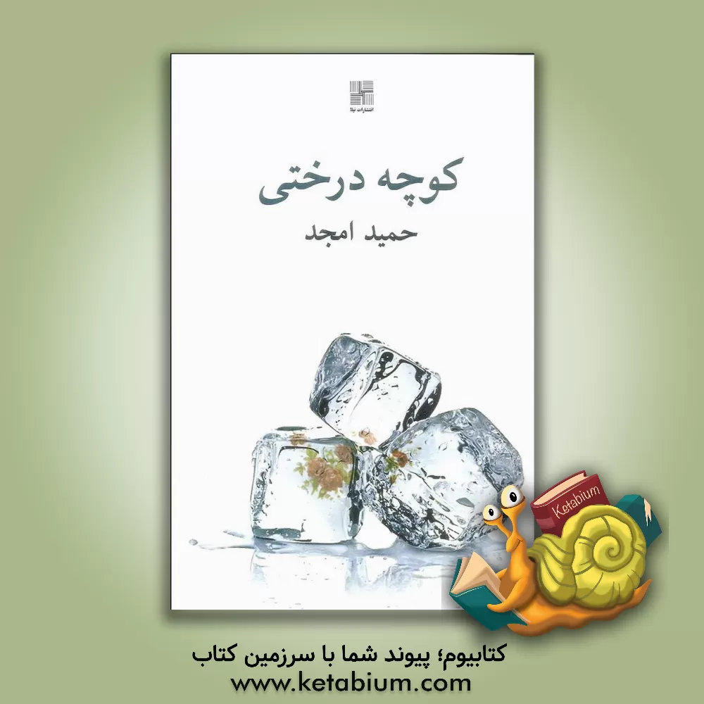 کتاب کوچه درختی اثر حمید سعیدی‌امجد