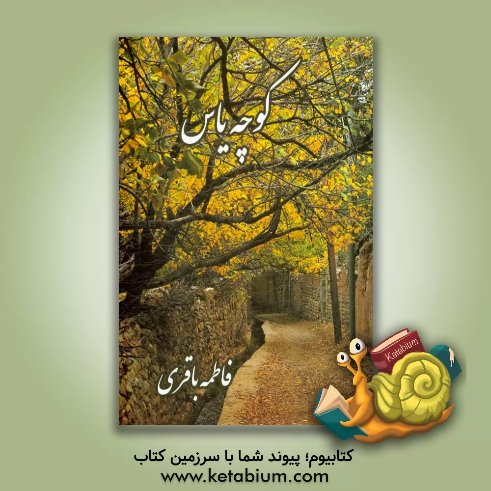 کتاب کوچه یاس اثر فاطمه باقری