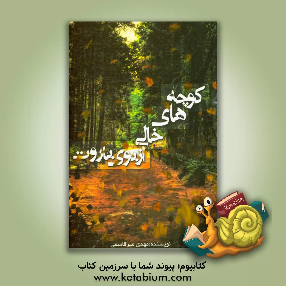 کتاب کوچه های خالی از بوی باروت اثر سیدمهدی میرقاسمی