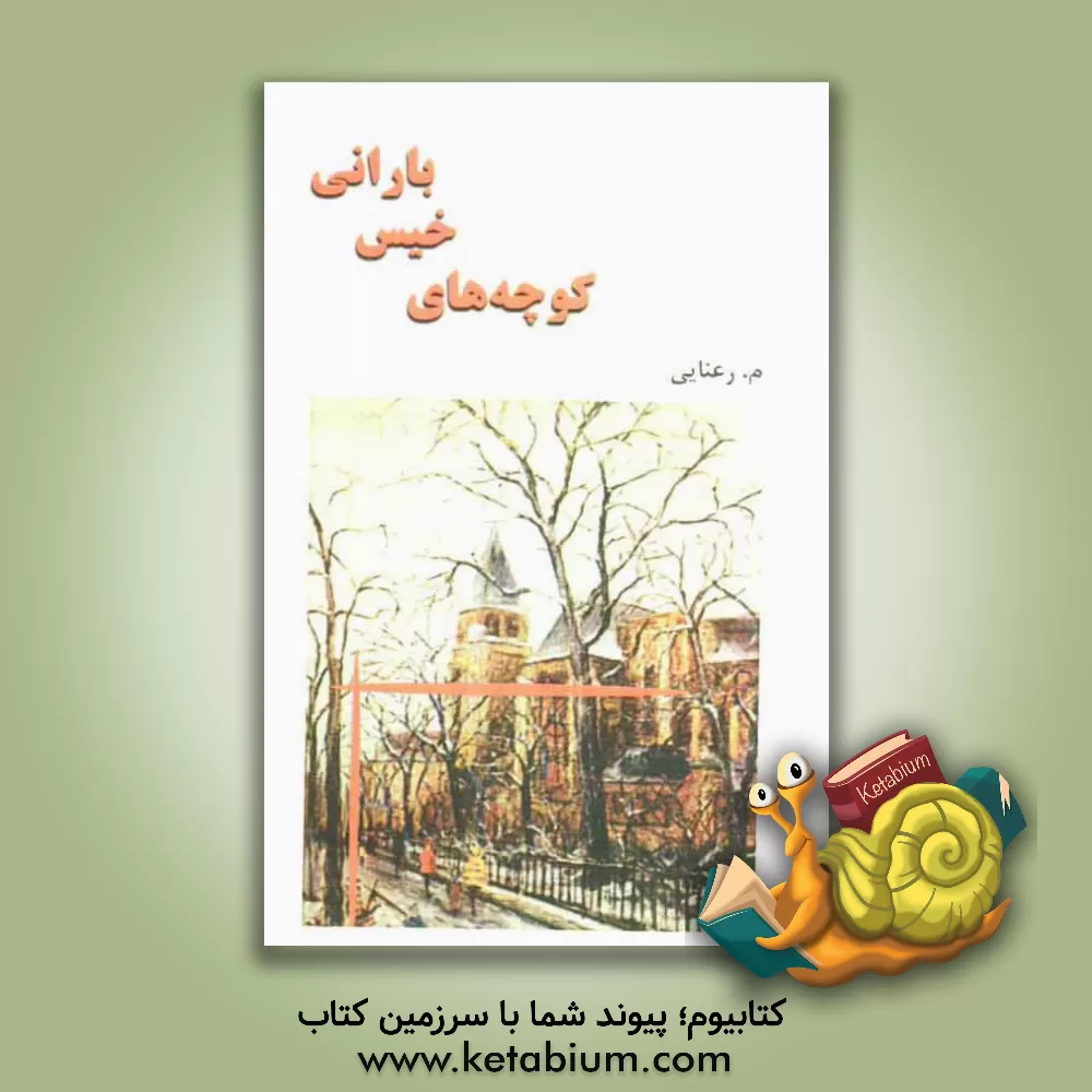 کتاب کوچه های خیس و بارانی اثر م. رعنایی