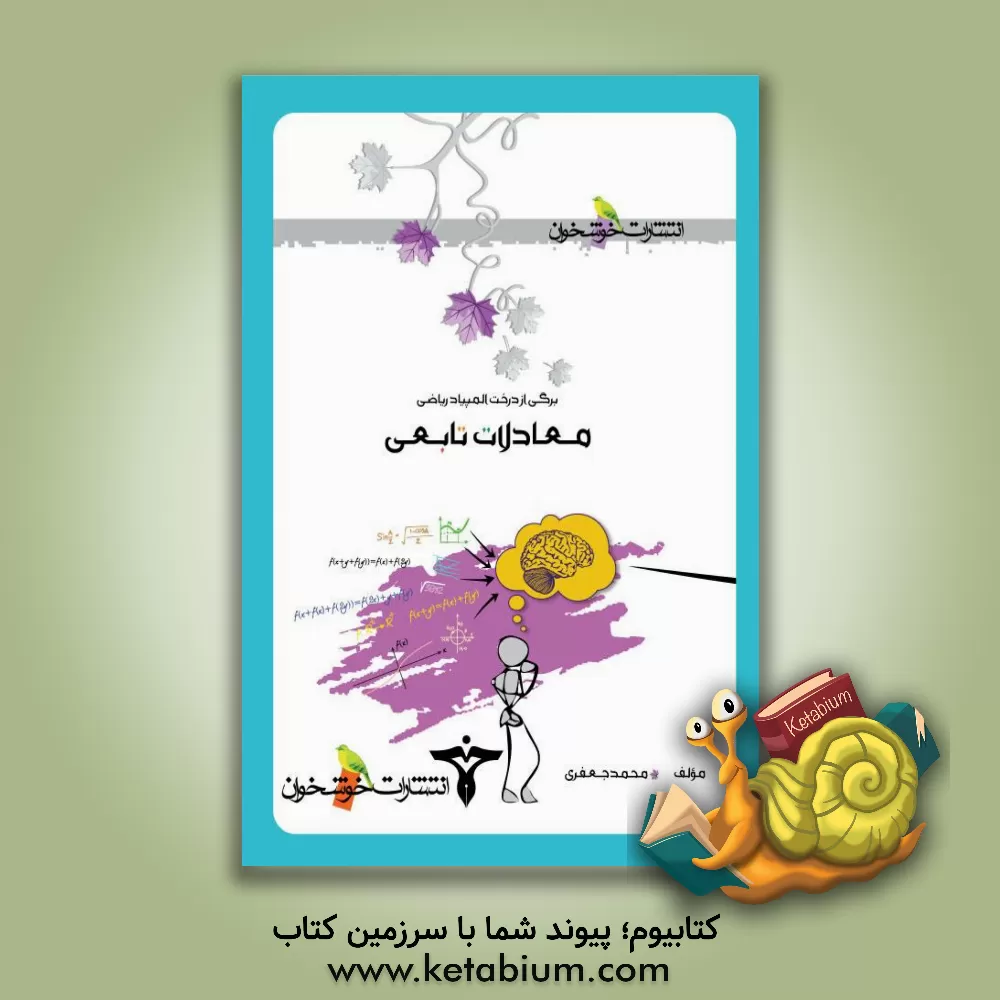 کتاب معادلات تابعی اثر محمد جعفری