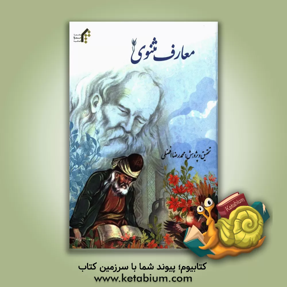 کتاب معارف مثنوی اثر محمدرضا افضلی