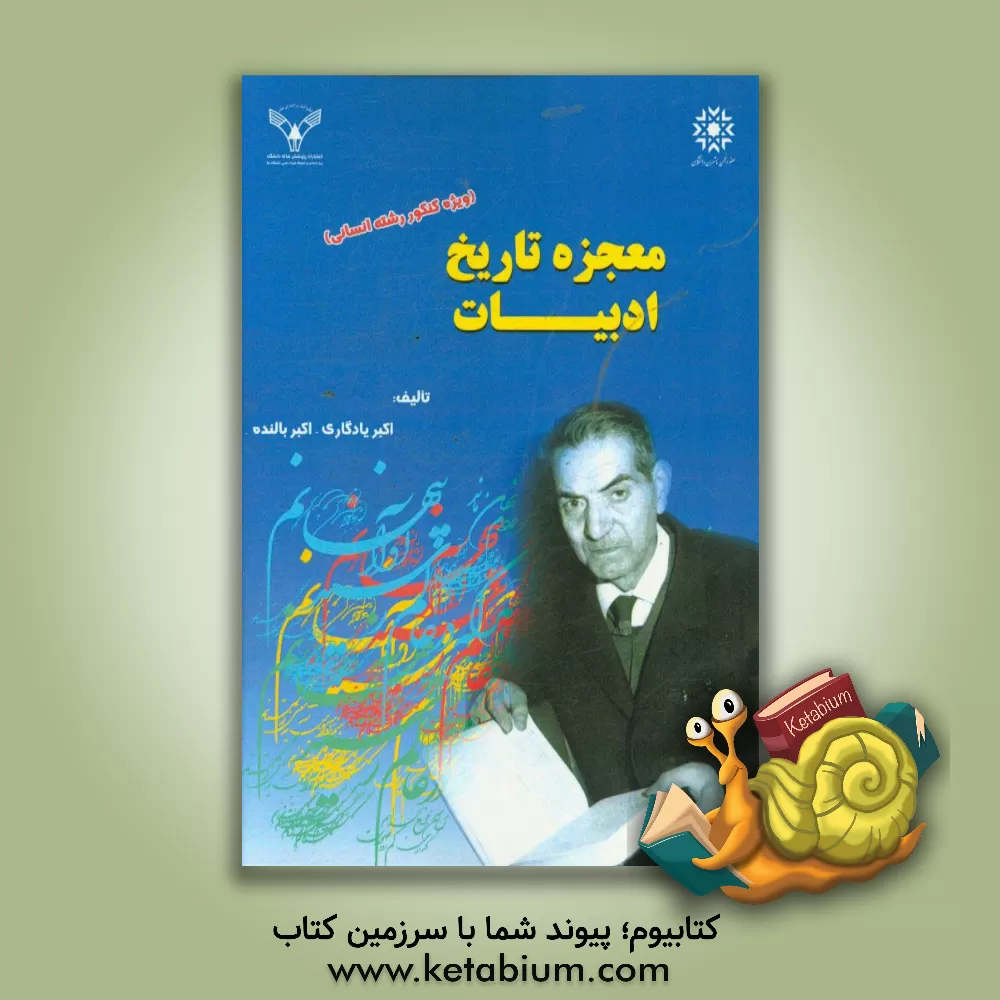 کتاب معجزه تاریخ ادبیات ویژه کنکور رشته انسانی |اثر اکبر یادگاری