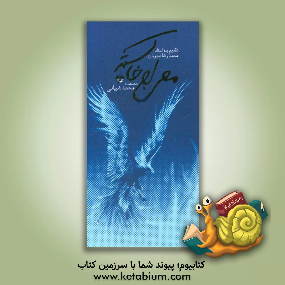 کتاب معراج خاکستر اثر محمد شیبانی