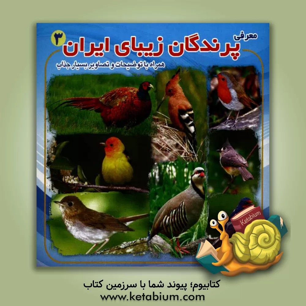 کتاب معرفی پرندگان زیبای ایران اثر محمد قاسمی