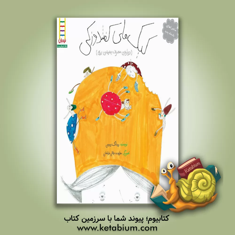 کتاب کیک های کفشدوزکی (درباره ی مصرف بهینه ی برق) اثر طراوت جلالی‌فراهانی