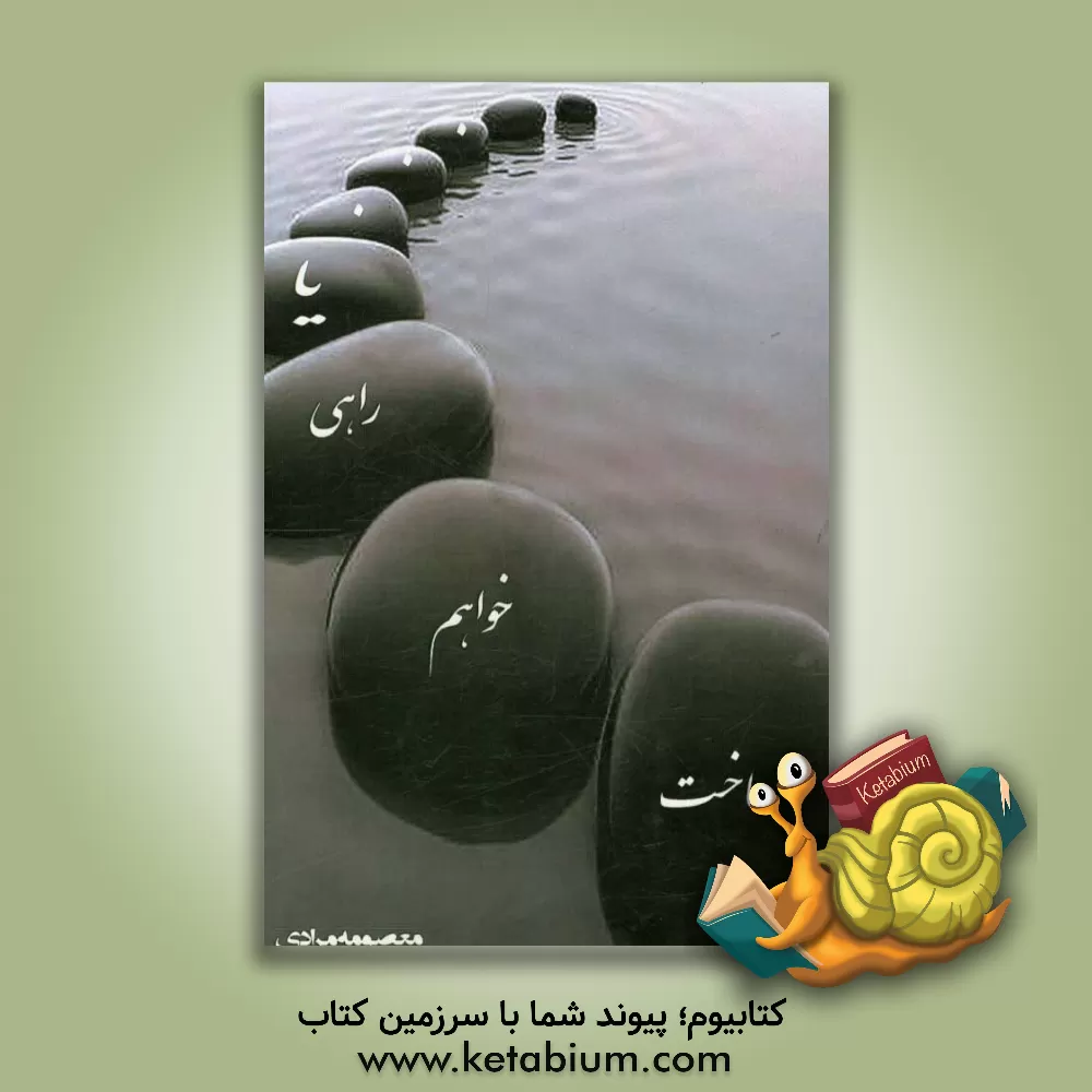 کتاب یا راهی خواهم ساخت: سرگذشتی با تحلیل اثر معصومه مرادی