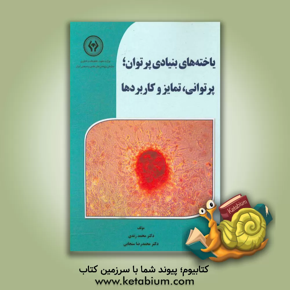 کتاب یاخته های بنیادی پرتوان: پرتوانی، تمایز و کاربردها اثر محمدرضا سنجابی