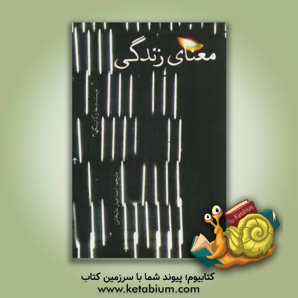 کتاب معمای زندگی اثر جان کاتینگهام