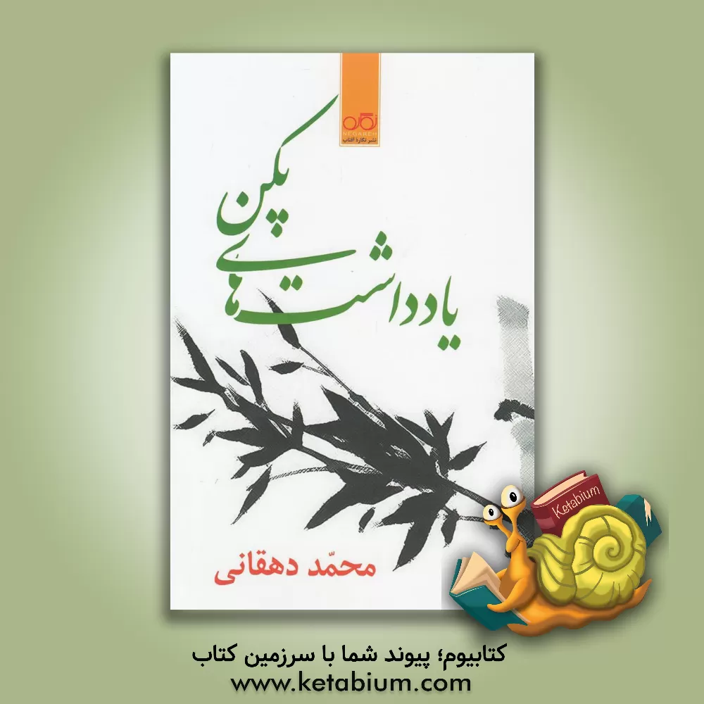 کتاب یادداشت های پکن اثر محمد دهقانی