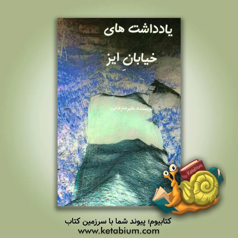 کتاب یادداشت های خیابان ایز اثر علیرضا رضایی