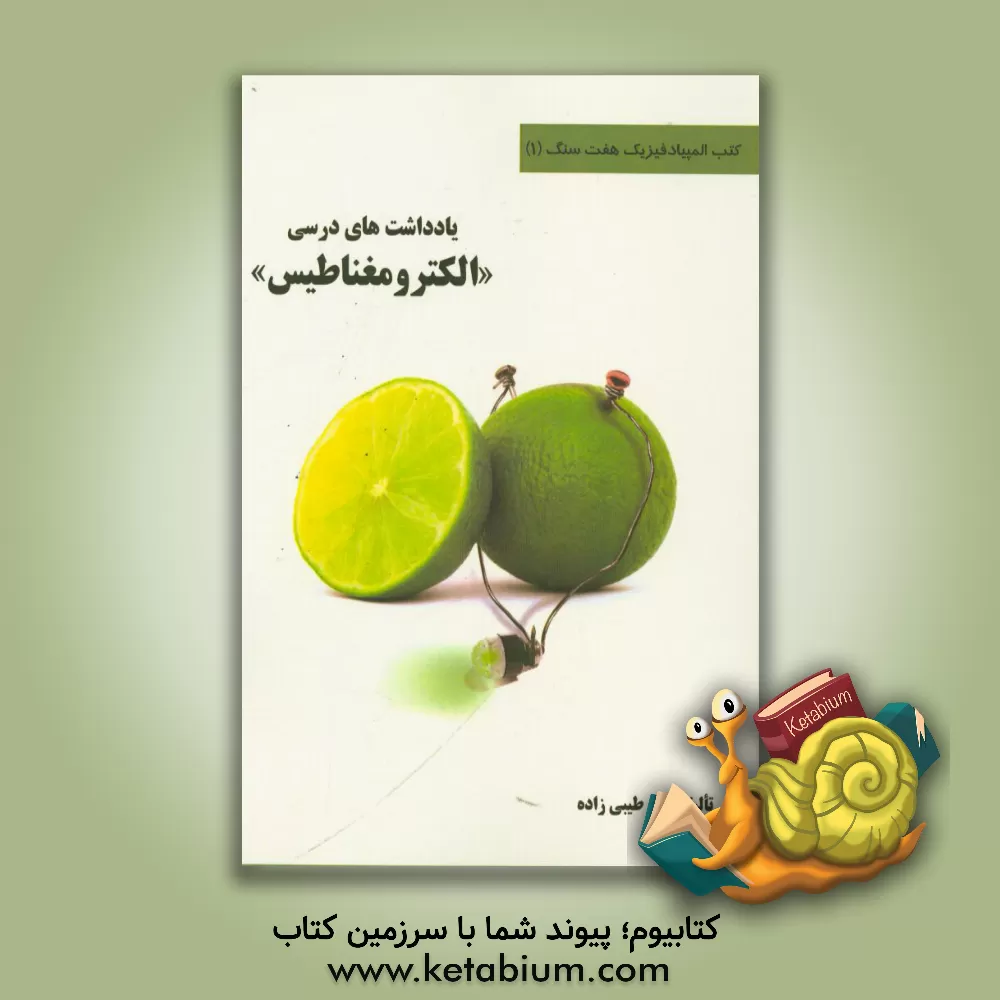 کتاب یادداشت های درسی "الکترومغناطیس" اثر پیام طیبی‌زاده