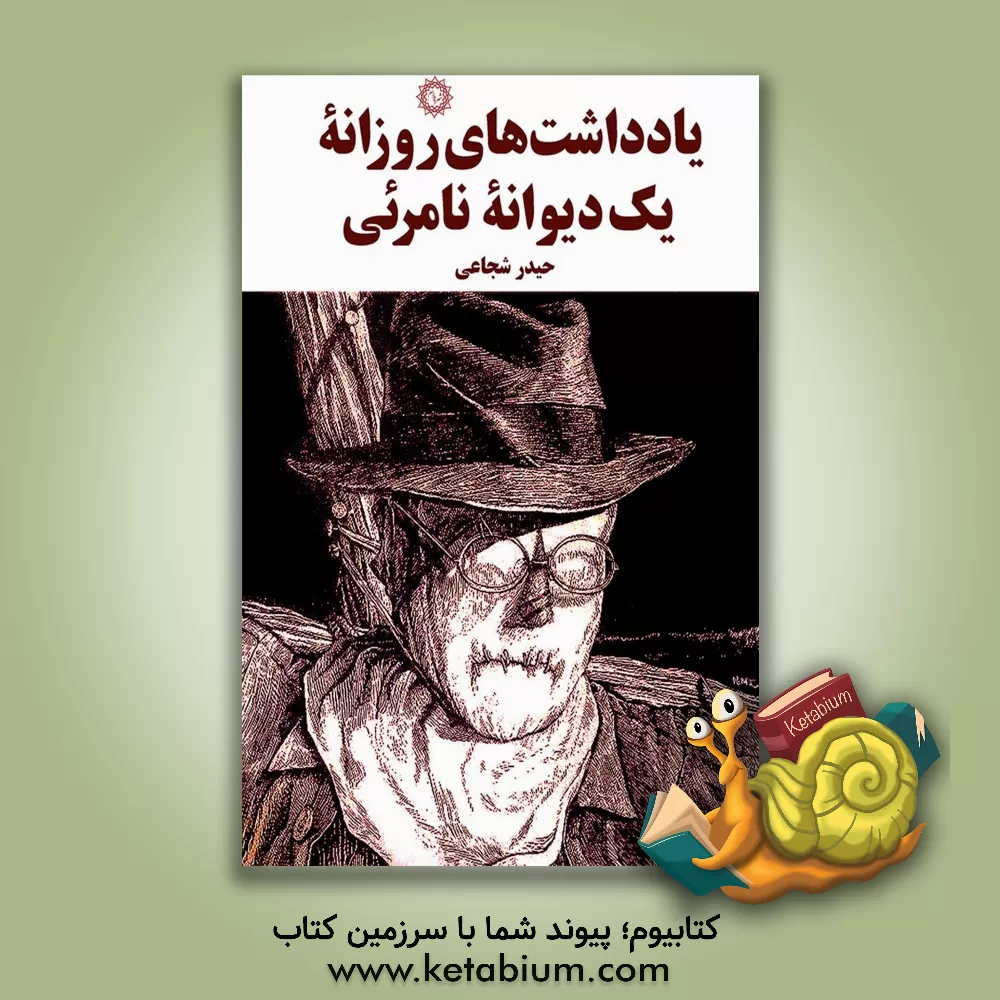 کتاب یادداشت های روزانه یک دیوانه نامرئی اثر حیدر شجاعی