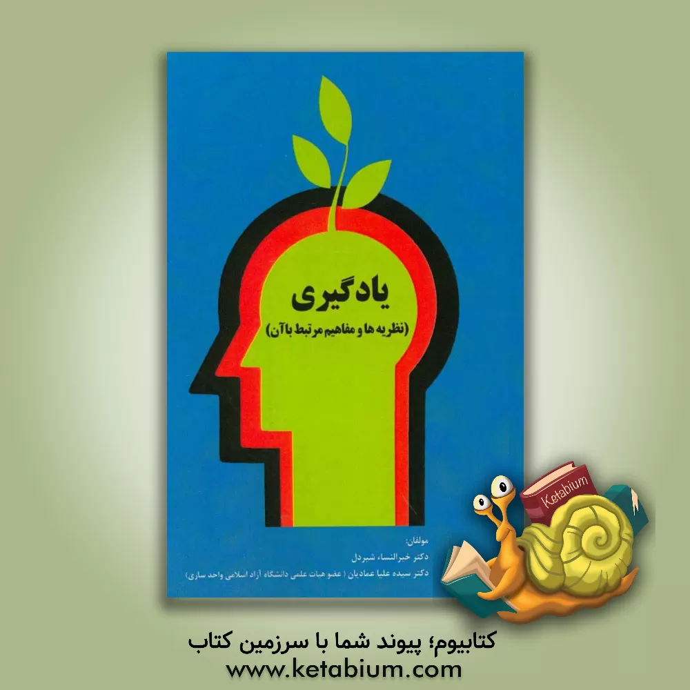 کتاب یادگیری (نظریه ها و مفاهیم مرتبط با آن) اثر سیده‌علیا عمادیان