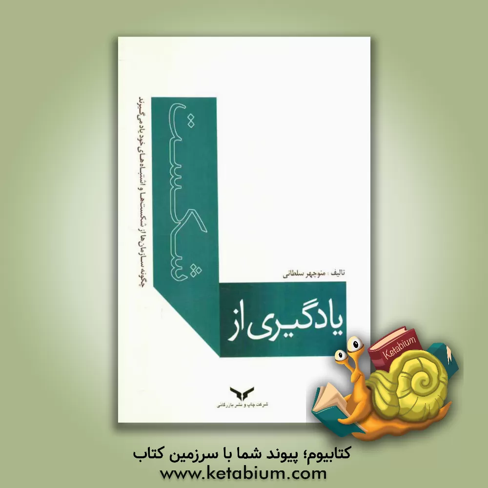 کتاب یادگیری از شکست: چگونه سازمان ها ازشکست ها و اشتباهات خود یاد می گیرند اثر منوچهر سلطانی