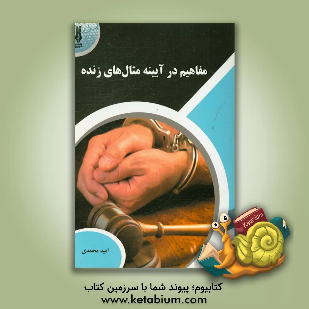 کتاب مفاهیم در آیینه مثال های زنده اثر امید محمدی