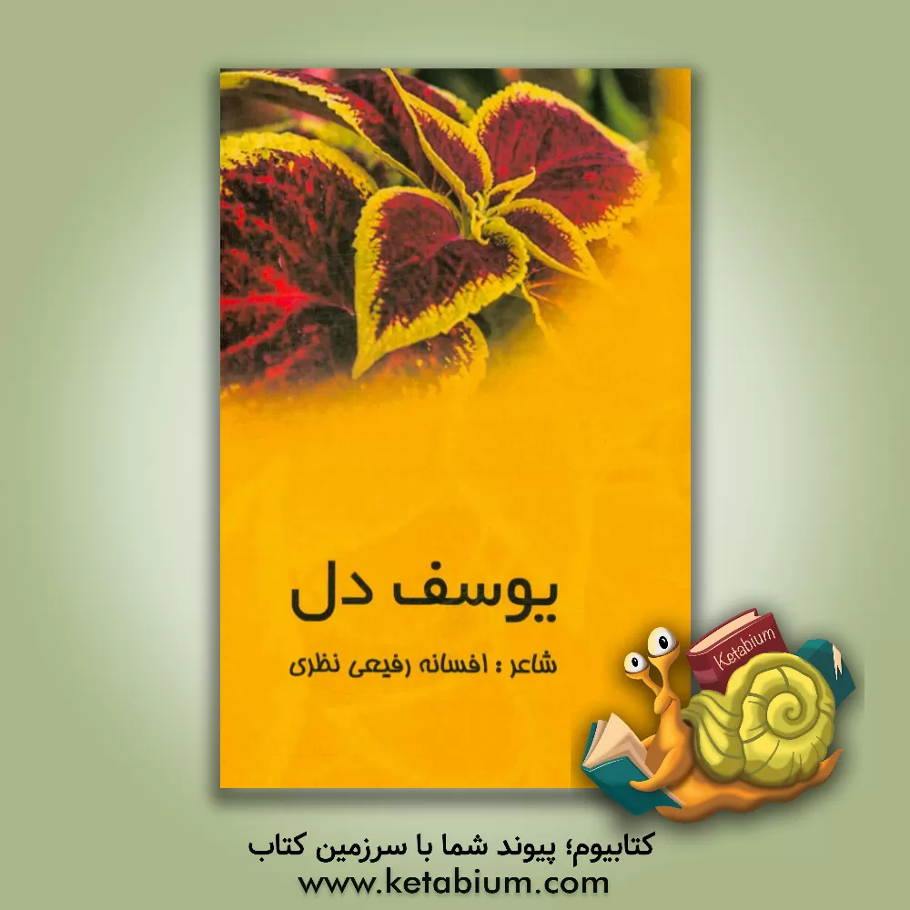 کتاب یوسف دل اثر افسانه رفیعی‌نظری