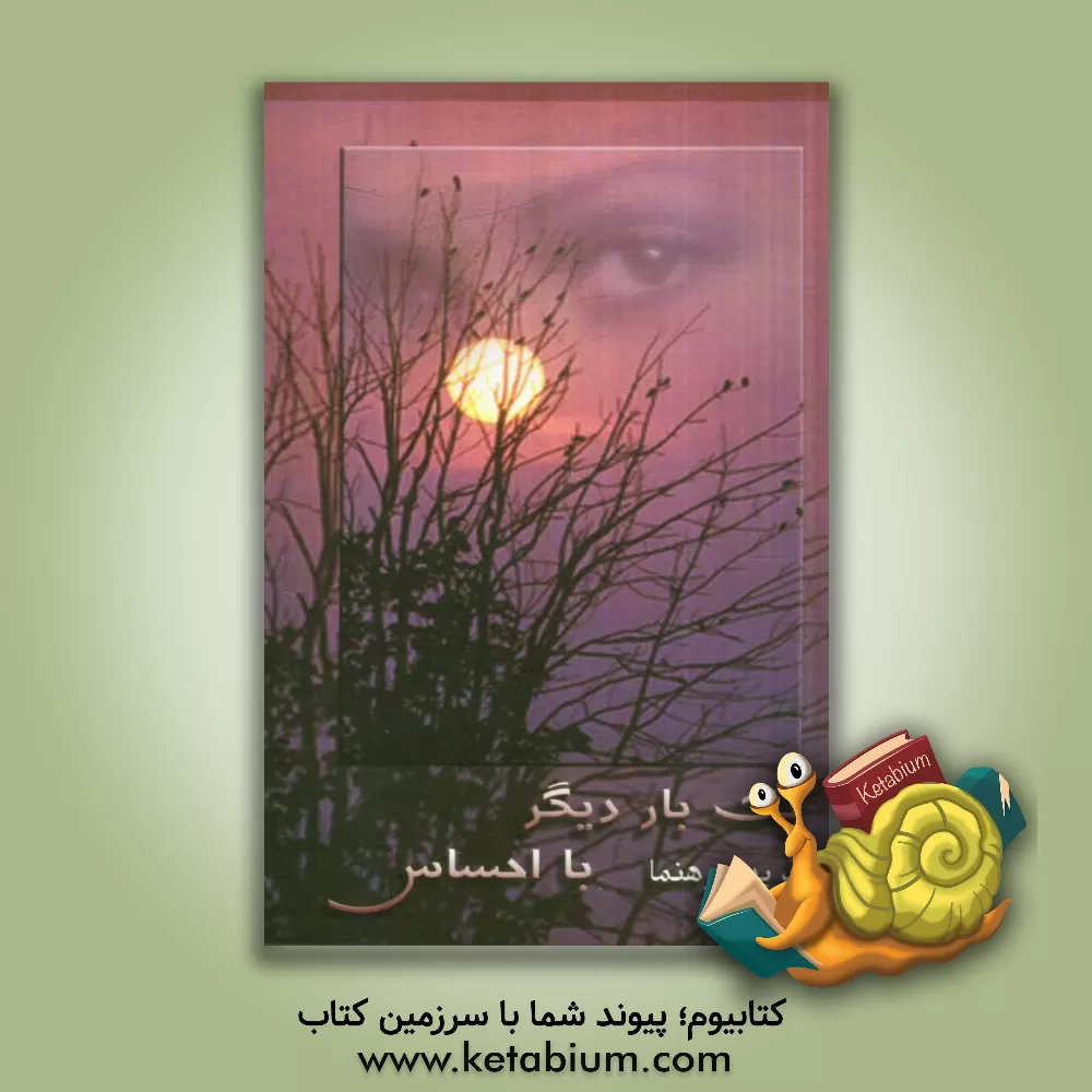 کتاب یک بار دیگر با احساس اثر فریده رهنما