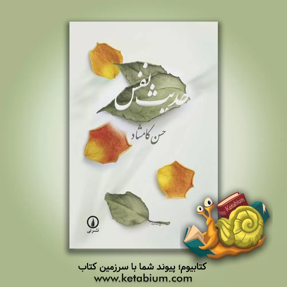 کتاب حدیث نفس اثر حسن کامشاد