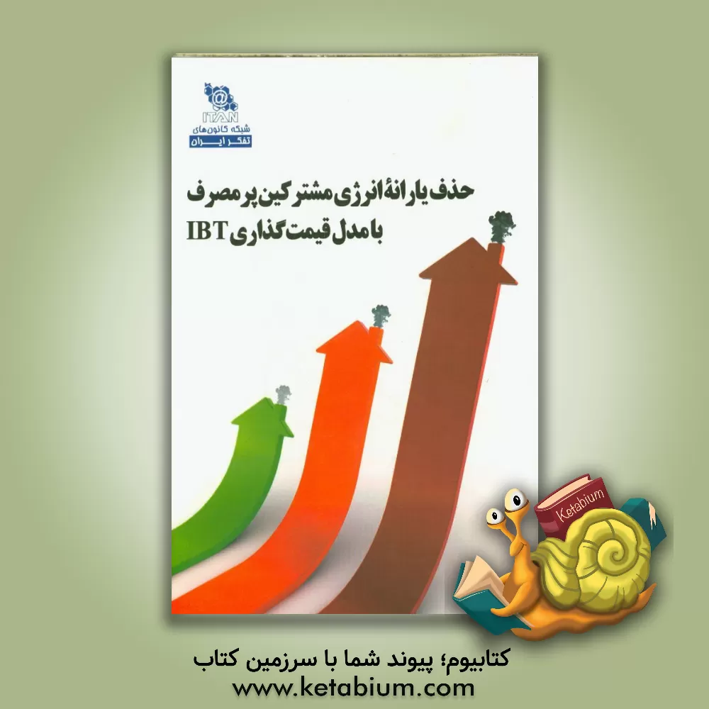 کتاب حذف یارانه انرژی مشترکین پرمصرف با مدل قیمت گذاری IBT اثر گروه پژوهشی تحلیل‌گران فناور