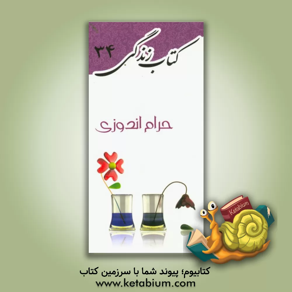 کتاب حرام اندوزی اثر محمدجواد مرادی‌نیا