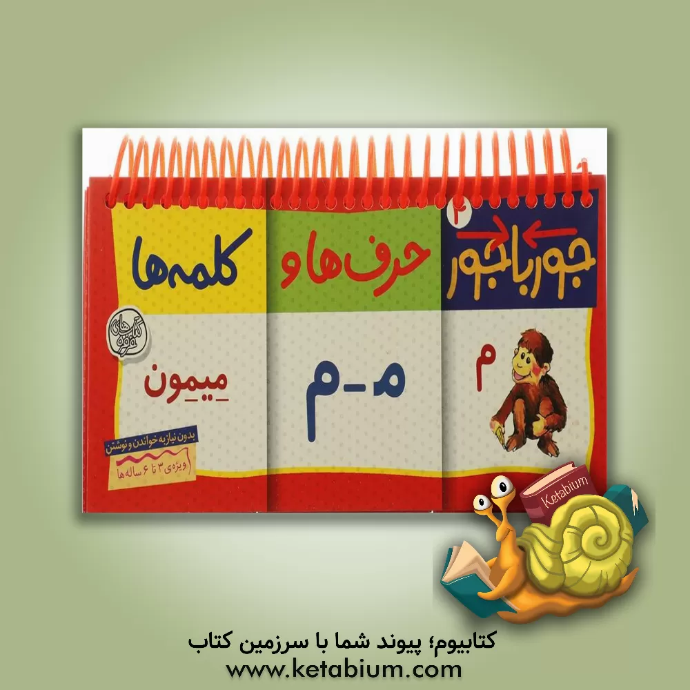 کتاب حرف ها و کلمه ها اثر مسلم قاسمی