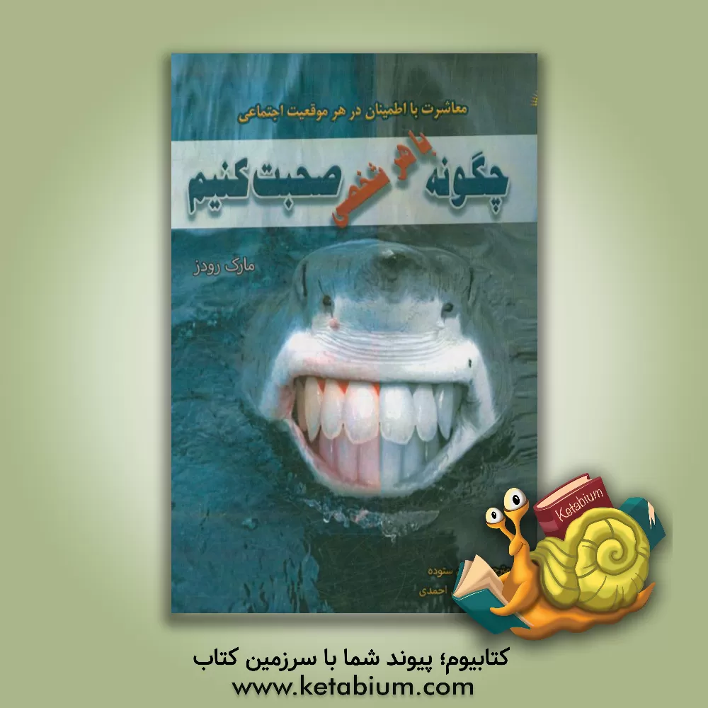 کتاب چگونه با هر شخصی صحبت کنیم؟: معاشرت با اطمینان در هر موقعیت اجتماعی اثر مارک رودز-اوزلی