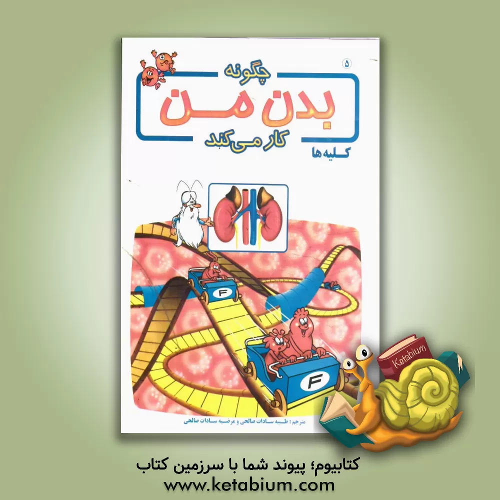 کتاب چگونه بدن من کار می کند؟ کلیه ها اثر آلبرت بریل