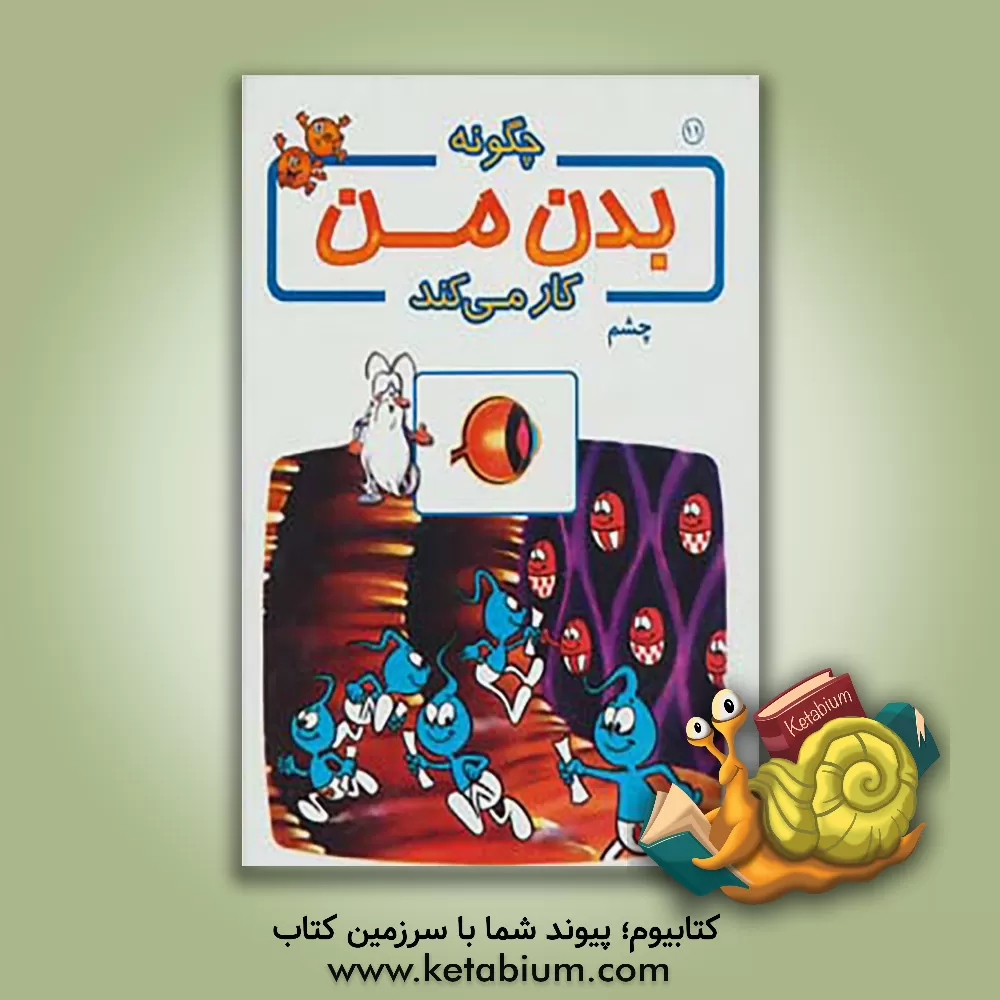 کتاب چگونه بدن من کار می کند؟: چشم اثر آلبرت بریل