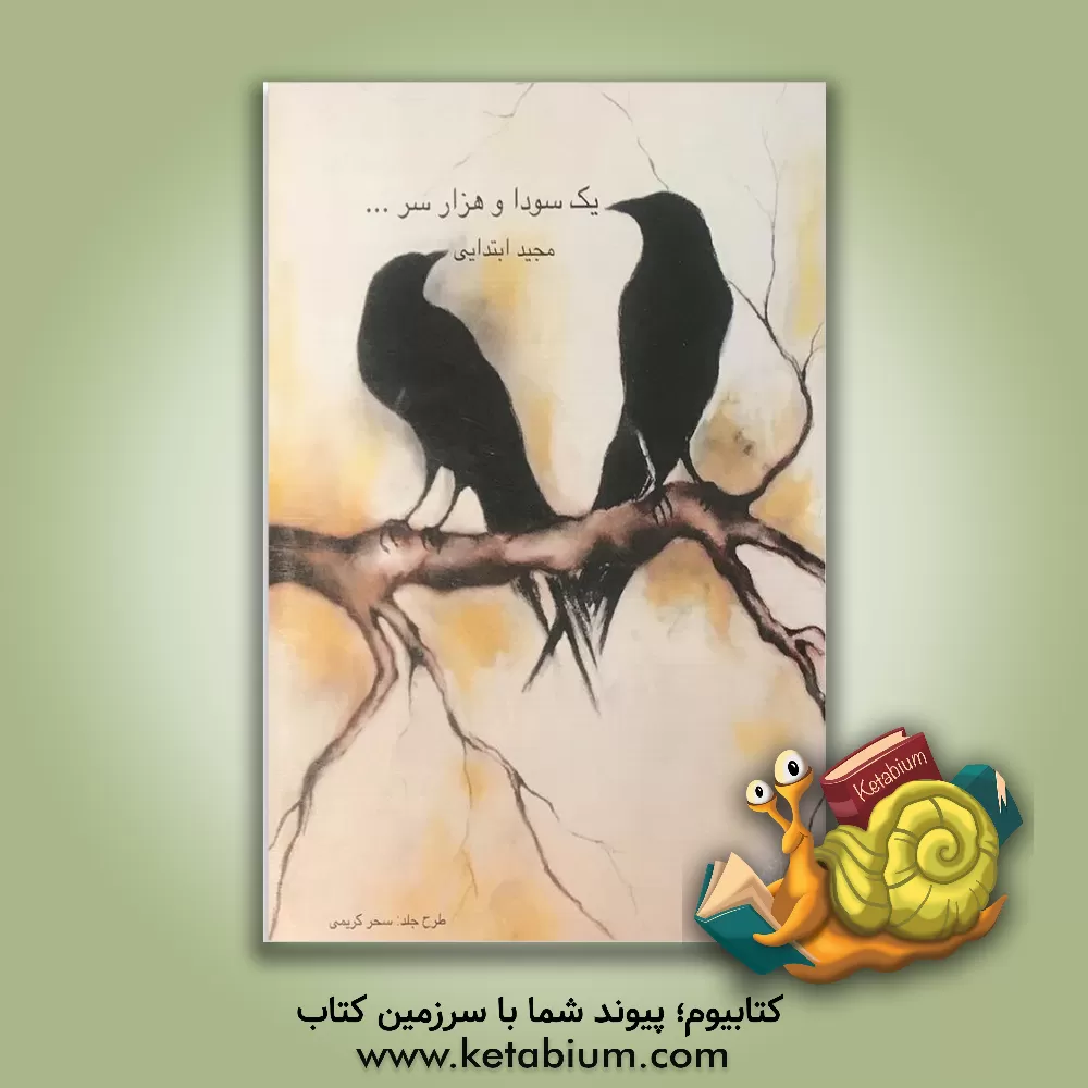 کتاب یک سودا و هزار سر اثر مجید ابتدایی