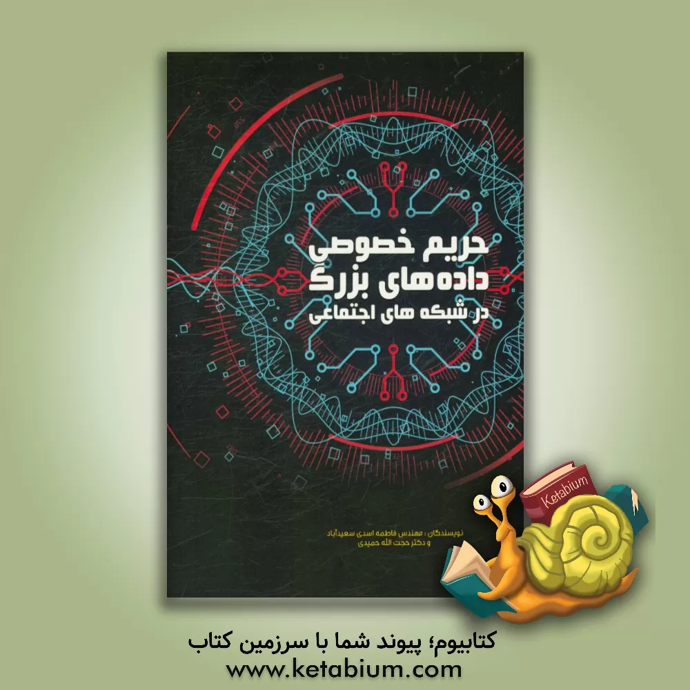 کتاب حریم خصوصی داده های بزرگ در شبکه های اجتماعی اثر حجت‌اله حمیدی