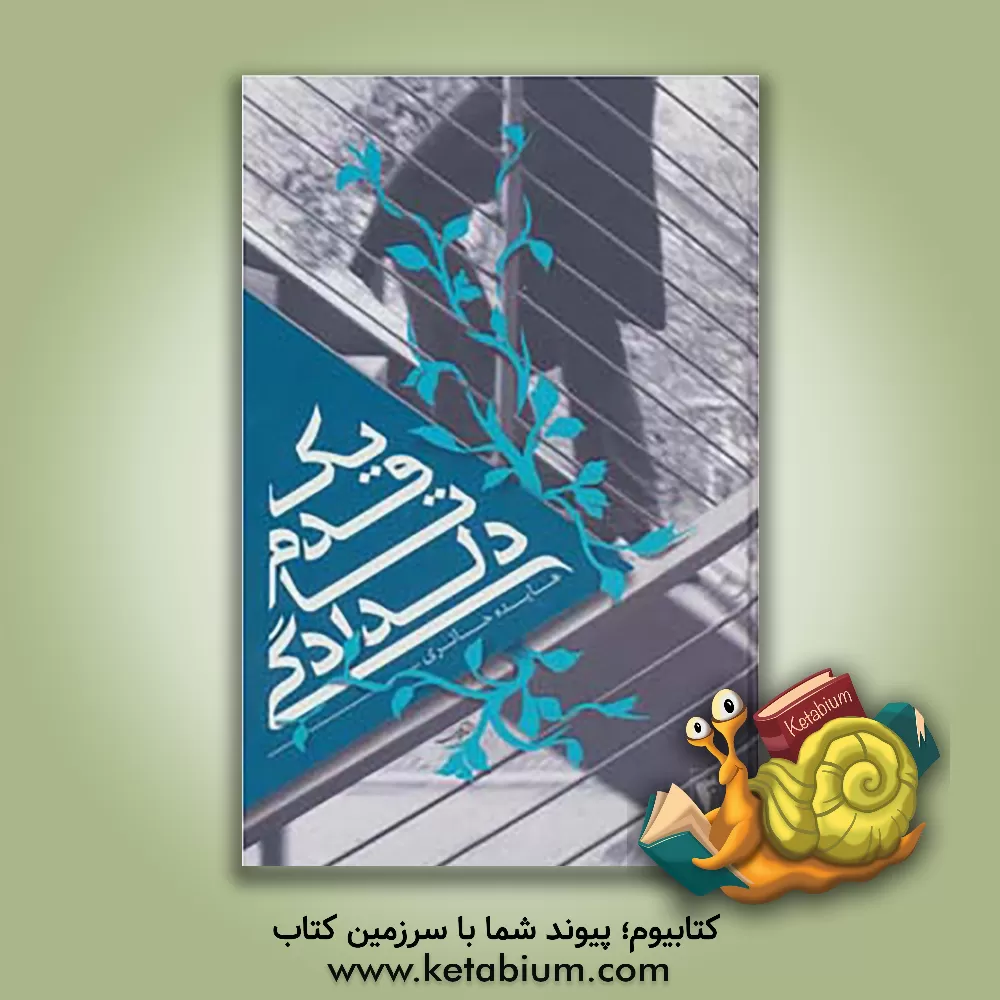 کتاب یک قدم تا دلدادگی اثر هایده حائری