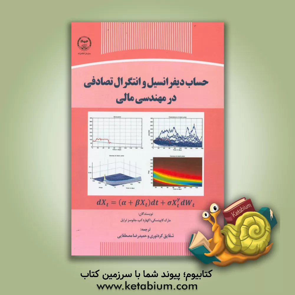 کتاب حساب دیفرانسیل و انتگرال تصادفی در مهندسی مالی اثر مارک کاپینسکی