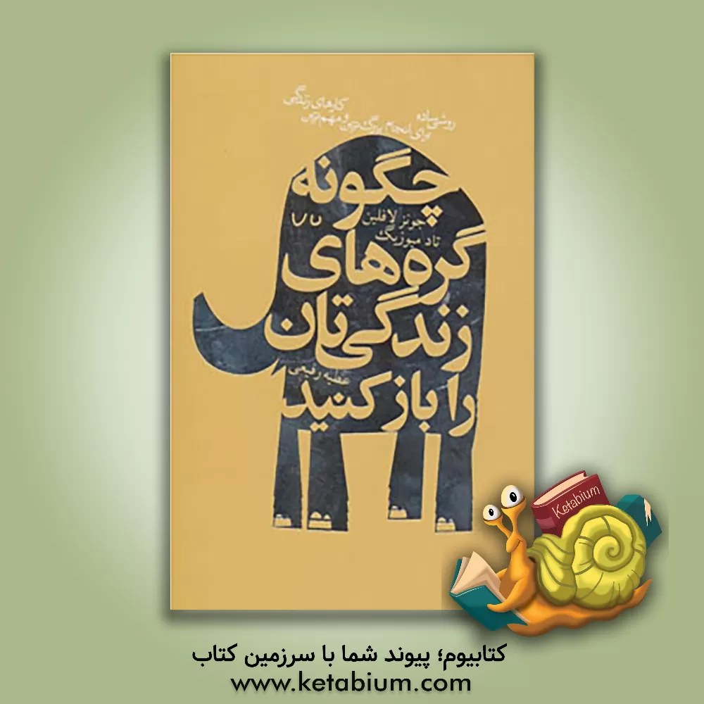 کتاب چگونه گره های زندگی تان را باز کنید: روشی ساده برای انجام بزرگ ترین و مهم ترین کارهای زندگی اثر جونز لافلین