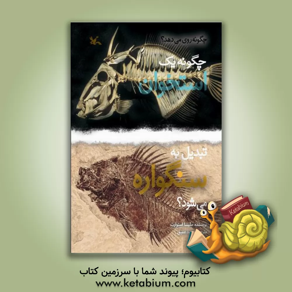 کتاب چگونه یک استخوان تبدیل به سنگواره می شود؟ اثر ملیسا استوارت