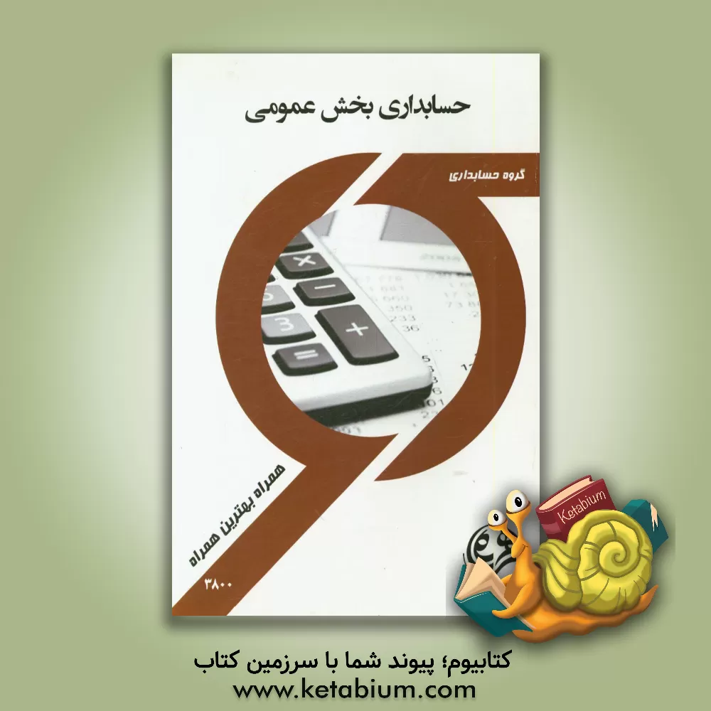 کتاب حسابداری بخش عمومی اثر محسن حسنی