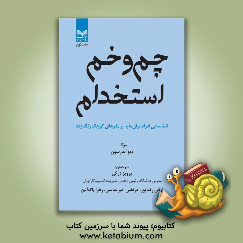کتاب چم  و خم استخدام: شناسایی افراد میان مایه، و مغزهای کوچک زنگ زده اثر دیو اندرسن