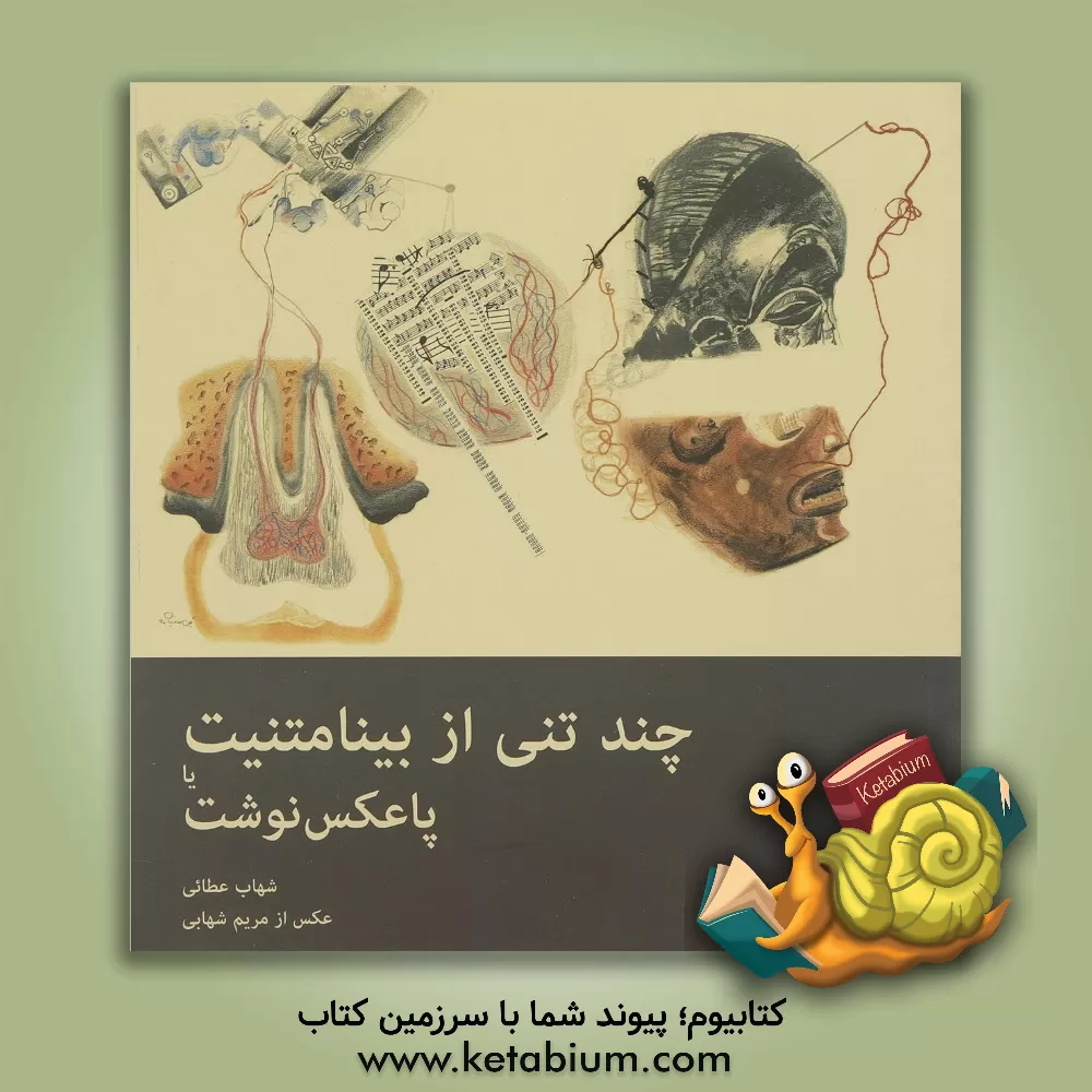 کتاب چند تنی از بینامتنیت یا پاعکس نوشت اثر شهاب عطایی