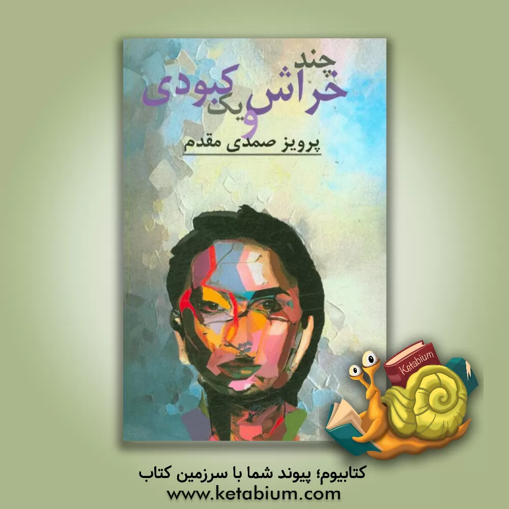 کتاب چند خراش و یک کبودی اثر پرویز صمدی‌مقدم