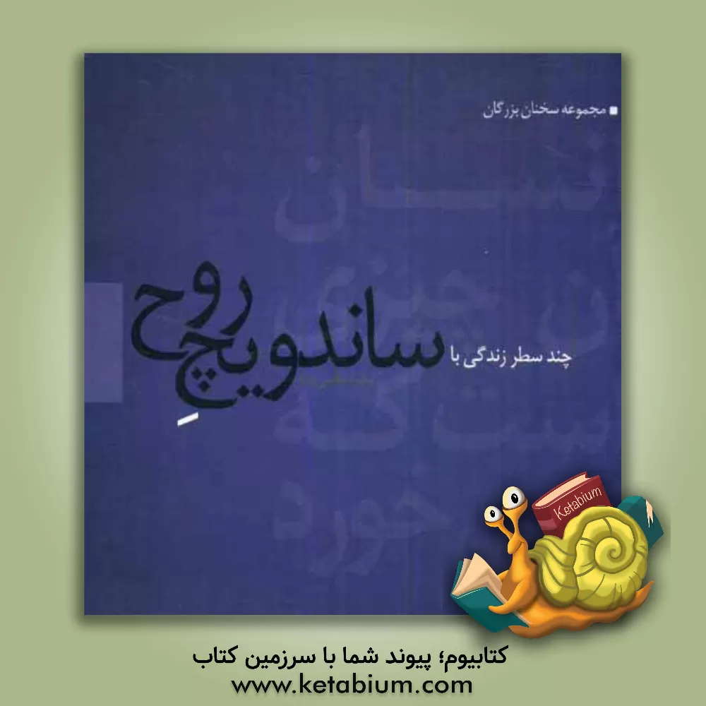 کتاب چند سطر زندگی با ساندویچ روح اثر زهرا سالمی‌نژاد