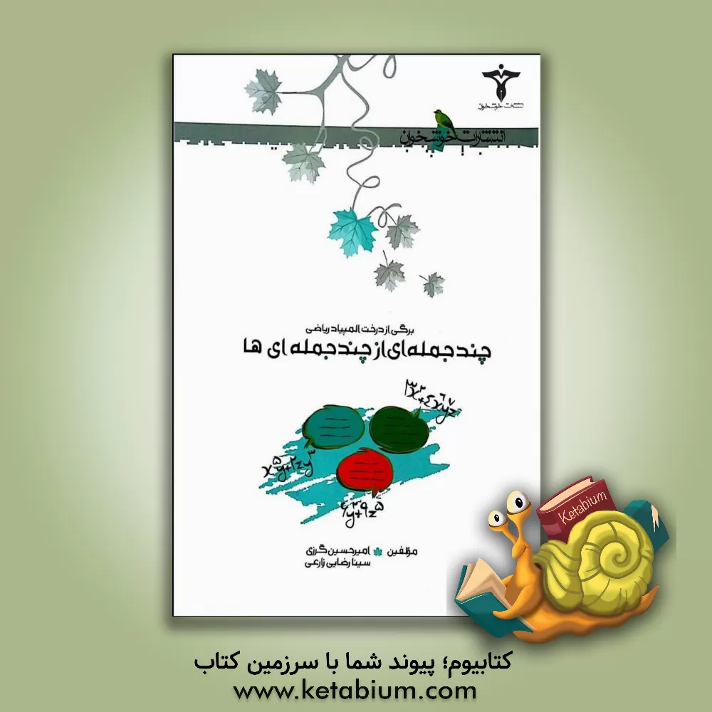 کتاب چندجمله ای از چندجمله ای ها اثر سینا رضایی‌زارعی