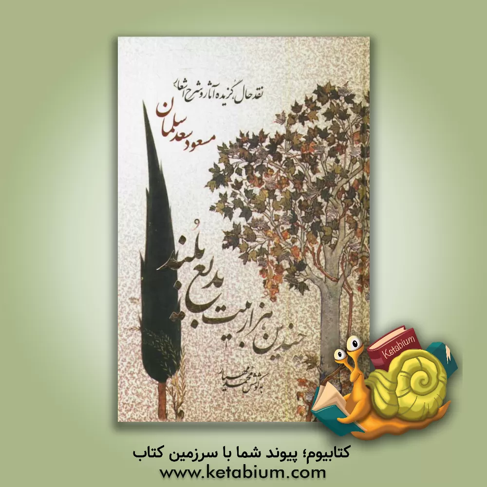 کتاب چندین هزار بیت بدیع بلند: نقد حال، گزیده آثار و شرح اشعار مسعود سعدسلمان اثر محمد مهیار