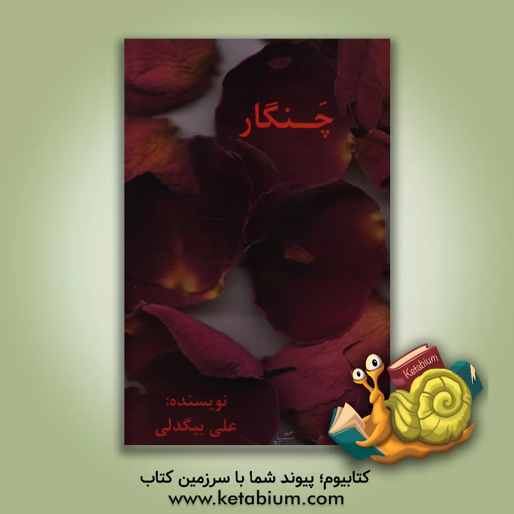 کتاب چنگار اثر علی بیگدلی