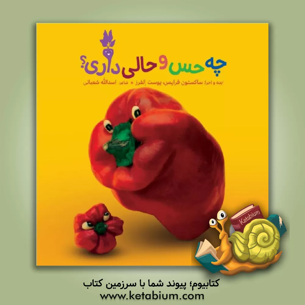 کتاب چه حس و حالی داری؟: (احساسات خوراکی ها) اثر اسدالله شعبانی