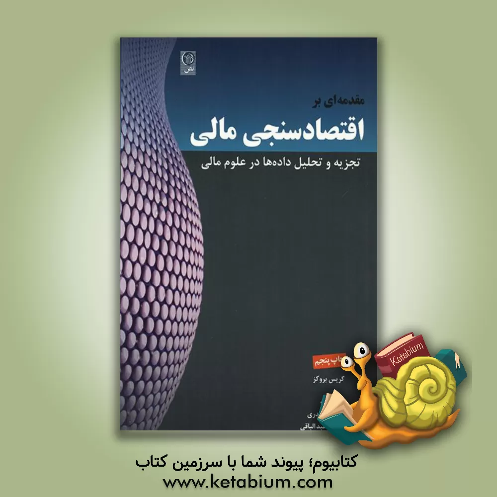 کتاب مقدمه ای بر اقتصادسنجی مالی: تجزیه و تحلیل داده ها در علوم مالی |اثر کریس بروکز